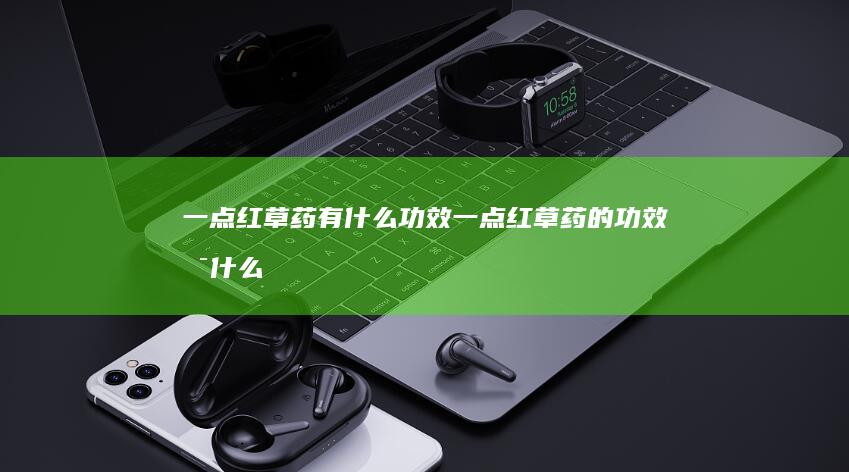 一点红草药有什么功效